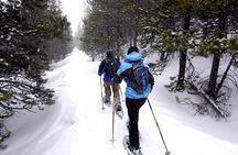 Snowshoeing Tour in Jacques-Cartier National Park