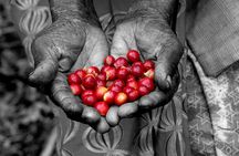 Rwandan Coffee Experience