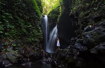 Gitgit and Alingaling Waterfalls Private Group Tour - Full Day