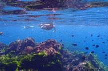 Explore Surin Islands: Ultimate Snorkeling Day Trip from Phuket