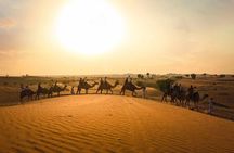 Dubai: Sunset Camel Trek, Al Khayma Camp, Stargazing & BBQ