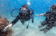 Introduction Diving on Coral Reef with private instructor ( 25 min )