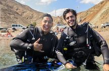 Introduction Diving on Coral Reef with private instructor ( 25 min )