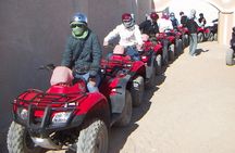 Super Desert Safari (4WD, Quad Bike, Camel Ride, BBQ Dinner & Drinks) 