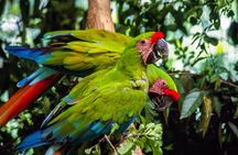 Tour to the Zoo El Pantanal in Guayaquil