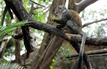 Tour to the Zoo El Pantanal in Guayaquil
