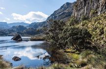 Shared Cajas National Park Full Day Tour