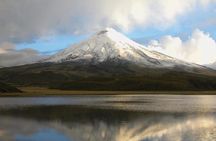 Private Tour to Cotopaxi National Park + Rose Plantation