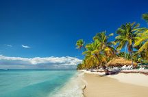 Full-Day Cruise to Saona Island - Natural pool and lunch