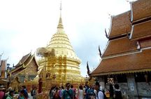 One Day Tour Doi Suthep Temple, Palad Temple, Orchid Farm, Longneck hill tribe village (Private tour)