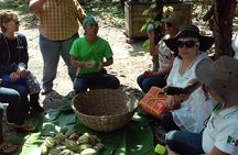 Villahermosa- Route Of Chocolate