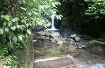 North Caribbean Tour in Martinique