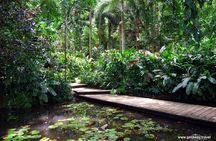 Half Day Nadi Sightseeing & Mud Pool Tour