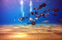 Discover Scuba Diving