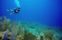 Discover Scuba Diving