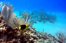 Shared 2 hours Sosúa Bay Snorkeling with Professional Guide