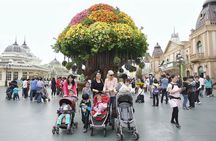 Everland Amusement Park with free-ride Ticket