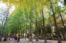 Nami Island & Petite France