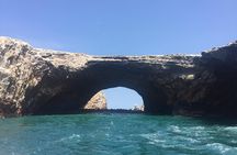 From Lima: Ballestas, Nazca Lines & Huacachina Oasis