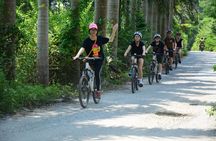 Hanoi Bicycle Tours: Half Day Bicycle Tours Hanoi Countryside