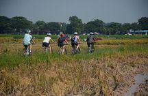  Bicycle Tours Hanoi: Full Day Bicycle Tours City & Countryside