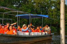 Klias Wildlife Safari River Cruise from Kota Kinabalu