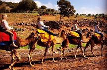 Escape to the Agafay Desert on a day trip from Marrakesh to Atlas