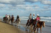 Horse Riding on the Black Sand Beach and Free Hotel Transfers