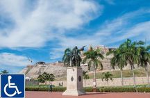  Shore excursion Accessible sightseeing tour 