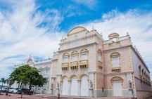  Shore excursion Accessible sightseeing tour 