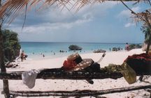 Full Day Snorkelling Cruise in Tranquility Island Resort