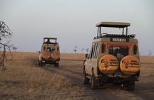 4 Days Game drives Safari Tarangire, Serengeti and Ngorongoro Crater