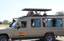 4 Days Game drives Safari Tarangire, Serengeti and Ngorongoro Crater