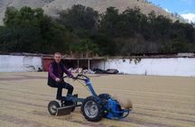 Villages And Plantations Around Antigua Guatemala