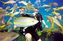 Discover Scuba Diving with No Certification in St Thomas 