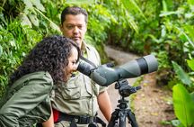 Full Day to Selvatura Monteverde Cloud Forest from Guanacaste