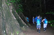 Nativos Corcovado Night Hike in DrakeBay