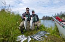 Middle Kenai River Full-Day Fishing Trip