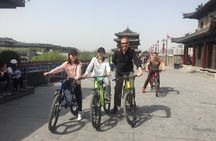 Mini Group: Daily VIP Xian Terracotta Warriors and City Discovery Tour