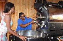Coffee farm tour, coffee roasting and tasting experience