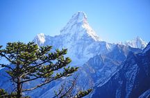  Everest View Short Trek -7 Days