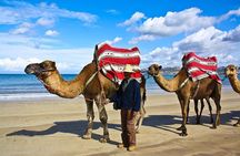 Day trip to Tetouan from Tangier
