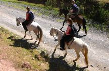 Half day: City Horse Riding - Mistic Tour - Group Service 