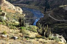 2 Day - Colca Canyon and Condor Tour from Arequipa, Peru - Group Service 