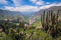 2 Day - Colca Canyon and Condor Tour from Arequipa, Peru - Group Service 