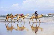 4 Hours Tangier Tour