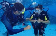 Combo Diving and Snorkeling Half-Day Tour