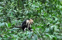Damas Island Mangrove Boat Tour from Manuel Antonio