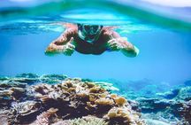 Explore Surin Islands: Ultimate Snorkeling Day Trip from Phuket
