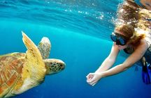 Surin Island Snorkeling by Speedboat from Khao Lak